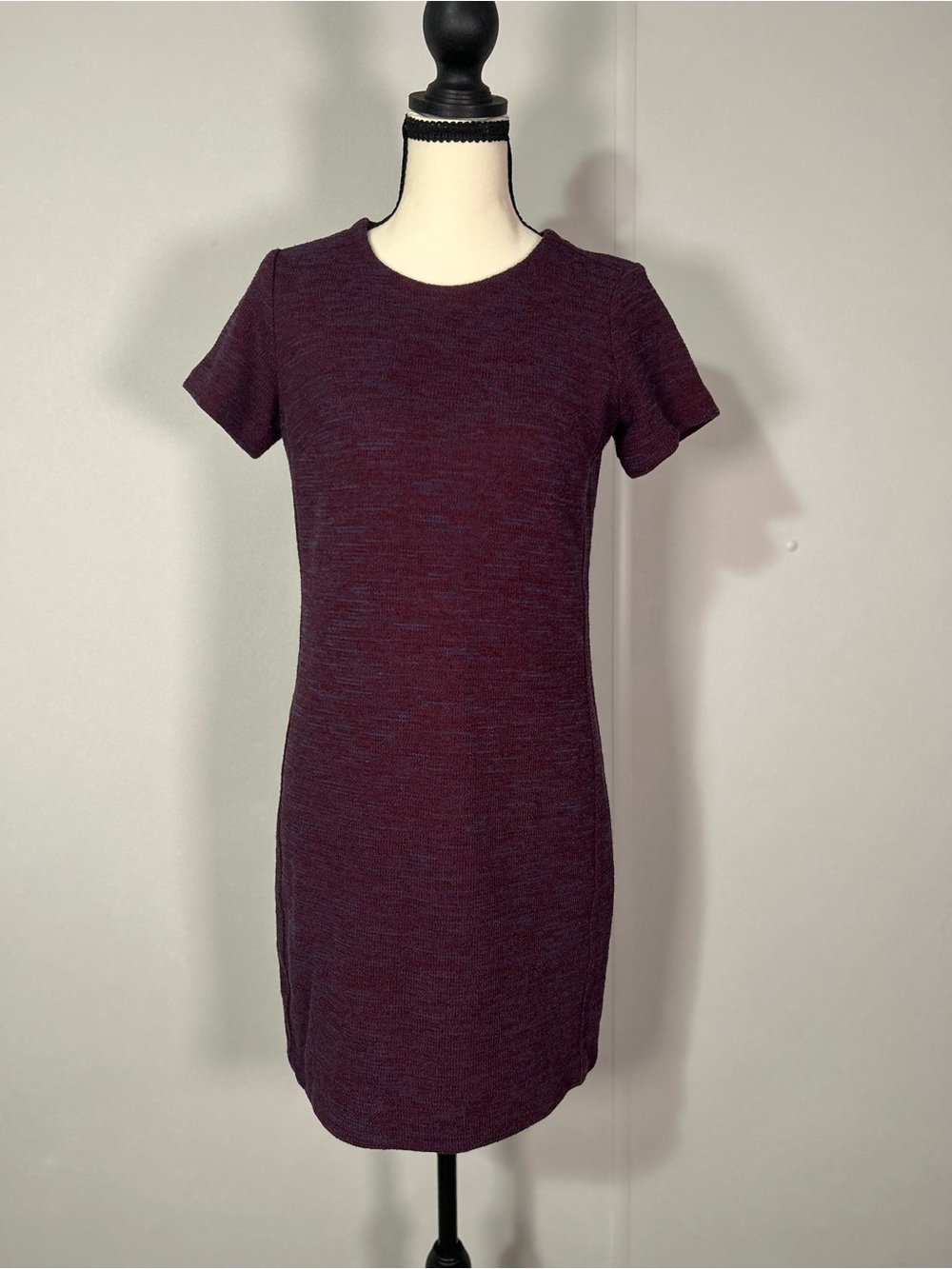 LOFT Outlet Petite Short Sleeve Knit Dress in Plum Heather